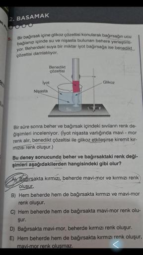 2. BASAMAK
5.
Bir bağırsak içine glikoz çözeltisi konularak bağırsağın ucu
bağlanıp içinde su ve nişasta bulunan behere yerleştirili-
yor. Beherdeki suya bir miktar iyot bağırsağa ise benedikt
çözeltisi damlatılıyor.
Benedikt
çözeltisi
İyot
Nişasta
Su
Glik