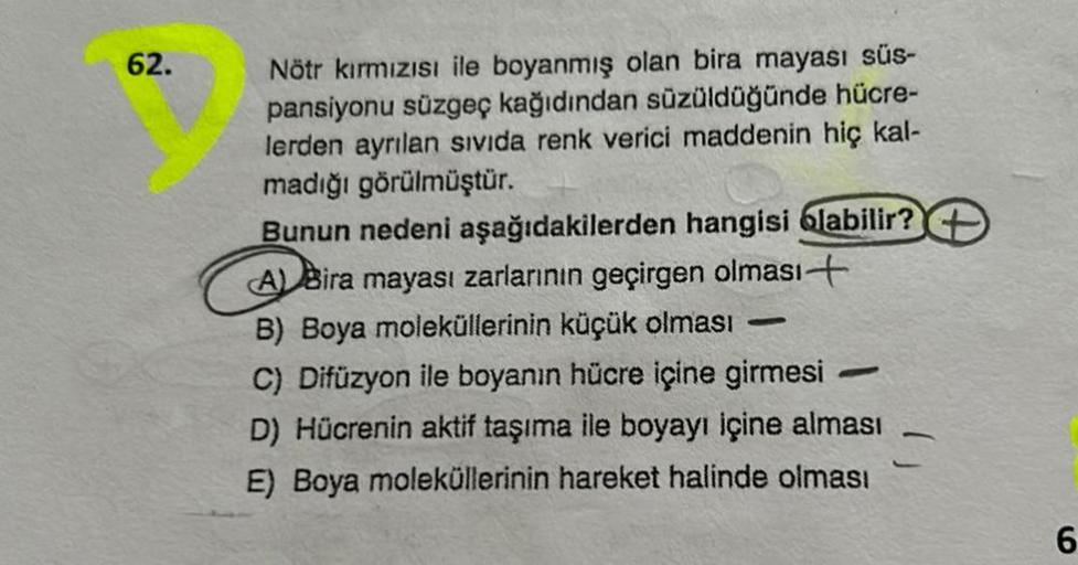 62.
Nötr kırmızısı ile boyanmış olan bira mayası süs-
pansiyonu süzgeç kağıdından süzüldüğünde hücre-
lerden ayrılan sıvıda renk verici maddenin hiç kal-
madığı görülmüştür.
Bunun nedeni aşağıdakilerden hangisi olabilir?
A Bira mayası zarlarının geçirgen o