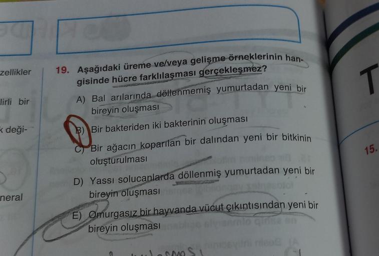 zellikler
lirli bir
k deği-
neral
19. Aşağıdaki üreme ve/veya gelişme örneklerinin han-
gisinde hücre farklılaşması gerçekleşmez?
A) Bal arılarında döllenmemiş yumurtadan yeni bir
bireyin oluşması
B) Bir bakteriden iki bakterinin oluşması
Bir ağacın koparı