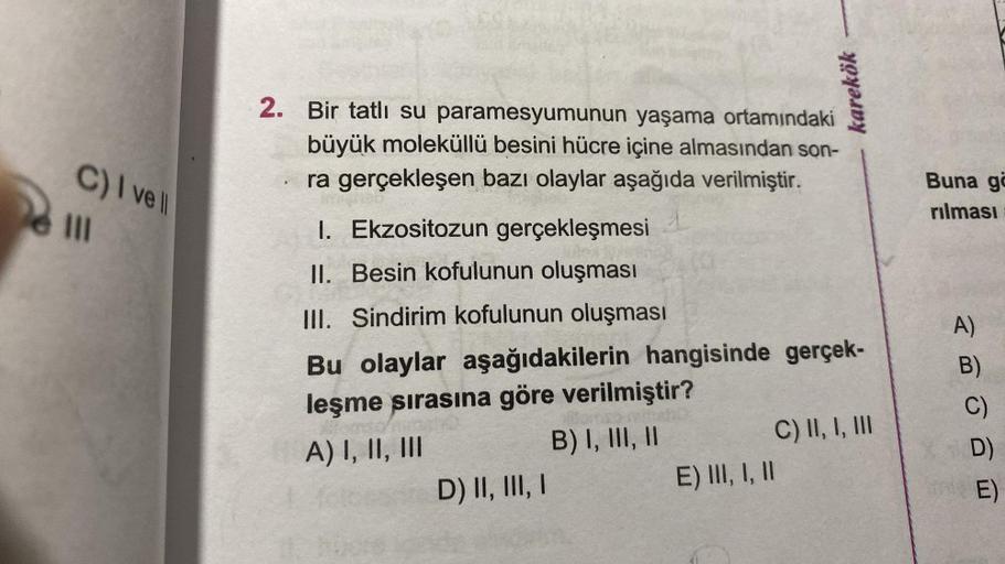 C) I ve ll
|||
2. Bir tatlı su paramesyumunun yaşama ortamındaki
büyük moleküllü besini hücre içine almasından son-
ra gerçekleşen bazı olaylar aşağıda verilmiştir.
1
1. Ekzositozun gerçekleşmesi
II. Besin kofulunun oluşması
III. Sindirim kofulunun oluşmas