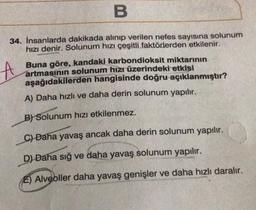 B
34. İnsanlarda dakikada alınıp verilen nefes sayısına solunum
hızı denir. Solunum hızı çeşitli faktörlerden etkilenir.
Buna göre, kandaki karbondioksit miktarının
artmasının solunum hızı üzerindeki etkisi
aşağıdakilerden hangisinde doğru açıklanmıştır?
A) Daha hızlı ve daha derin solunum yapılır.
B) Solunum hızı etkilenmez.
C) Daha yavaş ancak daha derin solunum yapılır.
D) Daha sığ ve daha yavaş solunum yapılır.
E) Alveoller daha yavaş genişler ve daha hızlı daralır.