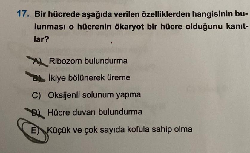 17. Bir hücrede aşağıda verilen özelliklerden hangisinin bu-
lunması o hücrenin ökaryot bir hücre olduğunu kanıt-
lar?
Ribozom bulundurma
İkiye bölünerek üreme
C) Oksijenli solunum yapma
BHücre duvarı bulundurma
E) Küçük ve çok sayıda kofula sahip olma