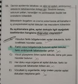 33. Derinin epidermis tabakası ve ağız içi epiteli, embriyonun
ektoderm tabakasından köken alır. Sindirim borusu,
solunum yolları, karaciğer ve pankreastaki bezler ise
endoderm kökenlidir.
Böbreklerin boşaltım ve üreme sistemlerine ait kanalların
iç yüzeylerindeki epitel dokuları ise mezoderm kökenlidir.
Bu açıklamalara göre, epitel dokuyla ilgili aşağıdaki
özelliklerden hangisine doğrudan ulaşılabilir?
Vücudun farklı bölgelerindeki epitel dokularda, farklı
özellikteki hücreler vardır.
B) Farklı vücut bölgelerinde bulunan epitel dokular,
farklı embriyonik tabakalardan gelişir.
C) Vücut yüzeylerini örten epitel dokuda, daha çok yassı
hücreler bulunur.
D) Her doku veya organa ait epitel dokular, farklı bir
embriyonik tabakadan köken alır. X
E) Vücuttaki iç organlarda, salgı üreten yapılar epitel
dokudan meydana gelir.