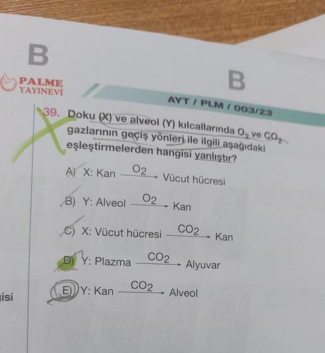 isi
B
PALME
YAYINEVİ
39. Doku (X) ve alveol (Y) kılcallarında O₂ ve CO₂
gazlarının geçiş yönleri ile ilgili aşağıdaki
eşleştirmelerden hangisi yanlıştır?
02 Vücut hücresi
A) X: Kan
B) Y: Alveol
C) X: Vücut hücresi
D) Y: Plazma
E) Y: Kan
02 Kan
AYT/PLM / 00