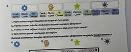 9.
Isim
Fiil Devrik Olumsuz
Kurallı Olumsuz
Cümle Cümlesi
Cümle Cümlesi Cümle
Fill
Isim Devrik Olumlu
Kuralli Olumlu
Cümle
Cümle Cümlesi Cümle Cümle Cümlesi Cümle
1. Hüznü sonsuzmuş gibi hissettiren bir nağme sürüyor içimde.
2. Ardımda uzanan yollarda o hikâyeden çıkıp çıkamayacağımı bilmiyordum.
3. Annemi buralara bağlayan, burasız yapamayacağını düşündüren neyin nesiydi?
4. Size ellerimle yemek hazırlayacak biri değildim.
Numaralı cümlelerden hangisi, cümle özellikleri açısından görsellerden hangisiyle ilişkilendirilemez?
C)
B)
A)
ABCO