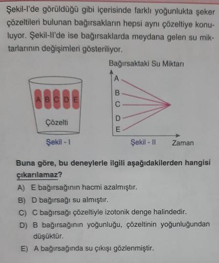 Şekil-l'de görüldüğü gibi içerisinde farklı yoğunlukta şeker
çözeltileri bulunan bağırsakların hepsi aynı çözeltiye konu-
luyor. Şekil-ll'de ise bağırsaklarda meydana gelen su mik-
tarlarının değişimleri gösteriliyor.
ABCDE
Çözelti
Şekil - 1
Bağırsaktaki S