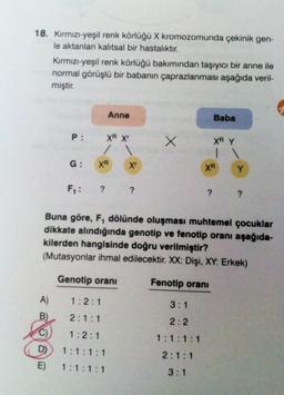 18. Kırmızı-yeşil renk körlüğü X kromozomunda çekinik gen-
le aktarılan kalıtsal bir hastalıktır.
Kırmızı-yeşil renk körlüğü bakımından taşıyıcı bir anne ile
normal görüşlü bir babanın çaprazlanması aşağıda veril-
miştir.
Anne
P: XR Xr
1
G: XR
X'
F₁: ? ?
A) 1:2:1
2:1:1
1:2:1
1:1:1:1
E) 1:1:1:1
X
Baba
3:1
2:2
1:1:1:1
2:1:1
3:1
XR Y
| \
XR
Y
Buna göre, F, dölünde oluşması muhtemel çocuklar
dikkate alındığında genotip ve fenotip oranı aşağıda-
kilerden hangisinde doğru verilmiştir?
(Mutasyonlar ihmal edilecektir. XX: Dişi, XY: Erkek)
Genotip oranı
Fenotip oranı
? ?