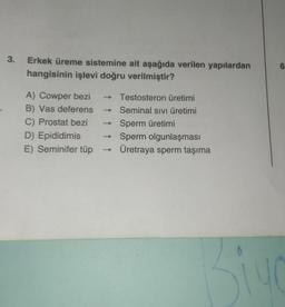 3. Erkek üreme sistemine ait aşağıda verilen yapılardan
hangisinin işlevi doğru verilmiştir?
A) Cowper bezi
B) Vas deferens
C) Prostat bezi
D) Epididimis
E) Seminifer tüp
↑ ↑ ↑
Testosteron üretimi
Seminal sıvı üretimi
Sperm üretimi
Sperm olgunlaşması
Üretraya sperm taşıma
6
Siy