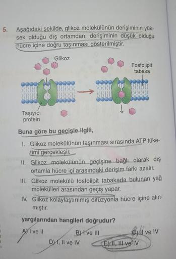 5. Aşağıdaki şekilde, glikoz molekülünün derişiminin yük-
sek olduğu dış ortamdan, derişiminin düşük olduğu
hücre içine doğru taşınması gösterilmiştir.
I
Taşıyıcı
protein
Glikoz
Fosfolipit
tabaka
Buna göre bu geçişle ilgili,
1. Glikoz molekülünün taşınması