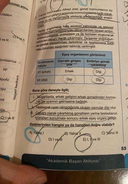 hızlanır.
I ve III
RF
onunun artma
ipotalamus
Hipofiz
SH
1
oit
CH-ve III
sin
C) I ve III
Negatif feedback
AI
miştir.
2. Fransız bilim insanı Alfred Jost, gonat hormonlarının bir
embriyonun gelişimi sırasında kromozomlarına bağlı olarak,
erkek ya da dişi olmasını etkileyip etkilemediğini araştır-
Yaptığı araştırmada hala annenin rahminde ve eseysel
Tarkliliklar belirmeden önceki dönemlerdeki tavşan embri-
yolanyla çalışarak, yumurtalık ya da testisleri oluşturacak
bölümleri cerrahi olarak çıkarmıştır. Tavşanlar doğduğun-
-da genital yapılarındaki farklılıklar ve kromozoma bağlı
eşey durumları aşağıdaki tabloda verilmiştir.
Kromozom
takımı
XY (erkek)
XX (dişi)
Eşey organlarının görünümü
Cerrahi girişim
yok
Erkek
Dişi
D) I ve il
Buna göre deneyle ilgili;
1. Tavşanlarda, erkek gelişimi erkek gonadından hormo-
nal bir uyarının gelmesine bağlıdır.
Hormonal uyarı olmadığında oluşan yavrular dişi olur.
II. Cerrahi olarak çıkartılmış gonatların yerine testesteron
kristalleri konulması sonucu erkek eşey organı gelişir.
ifadelerinden hangisi ya da hangileri doğru olabilir?
A) Yalnız I
C) Yalnız III
Embriyo gonalı
çıkarılmış
Dişi
Dişi
B) Yalnız II
E) I, II ve III
"Akademik Başarı Atölyesi"
II
5.
53