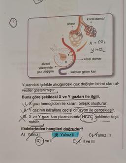 alveol
yüzeyinde
gaz değişimi
hava
alveol
(D) ve II
kılcal damar
X-CO₂
Y-OL
ifadelerinden hangileri doğrudur?
A) Yalnız I
B) Yalnız II
kılcal damar
kalpten gelen kan
Yukarıdaki şekilde akciğerdeki gaz değişim birimi olan al-
veoller gösterilmiştir.
Buna göre şekildeki X ve Y gazları ile ilgili,
Igazı hemoglobin ile kararlı bileşik oluşturur.
Y gazının kılcallara geçişi difüzyon ile gerçekleşir.
H. X ve Y gazı kan plazmasında HCO3 şeklinde taşı-
nabilir.
CYalnız III
III
E), Il ve
11