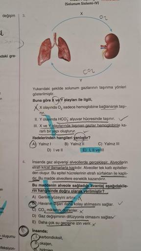 değişim 3.
↓
mdaki gra-
in
alı
I
e oluşumu
nfeksiyon-
4.
(Solunum Sistemi-IV)
X
C02
Y
D) I ve II
Yukarıdaki şekilde solunum gazlarının taşınma yönleri
gösterilmiştir.
02
Buna göre X very olayları ile ilgili,
Xx
X olayında O₂ sadece hemoglobine bağlanarak t