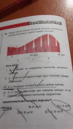 Fen Bilimler! Test!
40. Yetişkin dişi bir bireyde 28 günlük periyotta endometrium
kalınlığında gözlenen doğdum aşağıda verilmiştir.
b
LET
14, gün
C
B) III ve IV
runi
DNI, III ve IV
d
Buna göre
1. à ostrojen ve progesteron hormonları seviyesinin
azalması,
II. b→FSH ve LH salgısına bağlı olgun folikülden östrojen
sale lanması,
III. c→
Ovulasyon ile birincil positin serbest kalması,
IV. d korpus luteumdan bol miktarda östrojen ve az
miktarda progesteron hormonları salgılanması
eşleştirmelerinden hangileri doğrudur?
Ave Il
28: gün
C) I, II ve N
E) NI, III ve IV