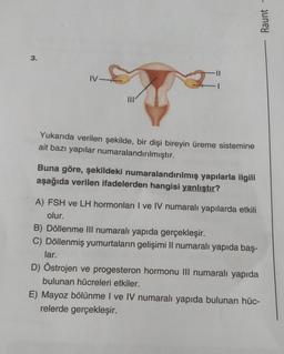 3.
IV
S
Yukarıda verilen şekilde, bir dişi bireyin üreme sistemine
ait bazı yapılar numaralandırılmıştır.
Buna göre, şekildeki numaralandırılmış yapılarla ilgili
aşağıda verilen ifadelerden hangisi yanlıştır?
A) FSH ve LH hormonları I ve IV numaralı yapılarda etkili
olur.
Raunt -
B) Döllenme III numaralı yapıda gerçekleşir.
C) Döllenmiş yumurtaların gelişimi II numaralı yapıda baş-
lar.
D) Östrojen ve progesteron hormonu III numaralı yapıda
bulunan hücreleri etkiler.
E) Mayoz bölünme I ve IV numaralı yapıda bulunan hüc-
relerde gerçekleşir.