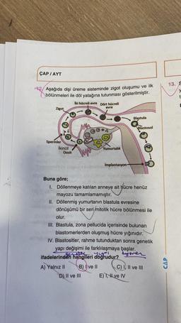 ÇAP / AYT
Aşağıda dişi üreme sisteminde zigot oluşumu ve ilk
bölünmeleri ile döl yatağına tutunması gösterilmiştir.
Zigot
Spermler
Tremens
İkincil
Oosit
stat nie
Buna göre;
İki hücreli evre Dört hücreli
evre
A) Yalnız II
99
B) I ve II
D) II ve III
(eco)
Yumurtalık
sblipleqsA.
1. Döllenmeye katılan anneye ait hücre henüz
mayozu tamamlamamıştır.
II. Döllenmiş yumurtanın blastula evresine
dönüşümü bir seri/mitotik hücre bölünmesi ile
olur.
III. Blastula, zona pellucida içerisinde bulunan
blastomerlerden oluşmuş hücre yığınıdır.
IV. Blastositler, rahme tutunduktan sonra genetik
yapı değişimi ile farklılaşmaya başlar.
cyover
ifadelerinden hangileri doğrudur?
Implantasyon-
Blastula
Blastosol
E) I, II ve IV
C) I, II ve III
CAP
13. S
oly
t