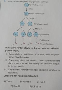 5.
Aşağıda spermatogenez olayı şematize edilmiştir.
2n Spermatogonyum
Mitoz
2n Birincil spermatosit
A) Yalnız I
Mayoz I
D) II ve III
n
İkincil spermatosit
J
Buna göre verilen olaylar ve bu olayların gerçekleştiği
yapılarla ilgili,
I. Spermatidlerin farklılaşma sürecinde besin ihtiyacını
sertoli hücreleri sağlar.
Mayoz II
n Spermatitler
II. Spermatogonium hücrelerinin önce spermatositlere
daha sonra spermatidlere dönüşümü seminifer tüpçük-
lerde gerçekleşir.
B) Yalnız II
III. Spermatidler hareket yeteneğini epididimis kanallarında
kazanırlar.
yargılarından hangileri doğrudur?
Farklılaşma
Sperm hücreleri
C) I ve II
E) I, II ve III