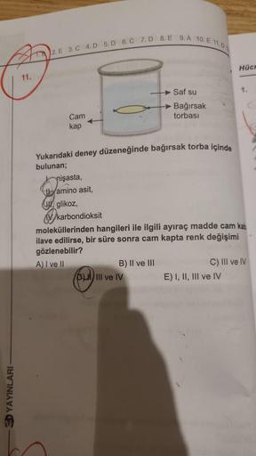 3D YAYINLARI
11.
T. 2. E 3. C 4. D 5. D 6. C 7. D 8. E 9. A 10.E 11.0
Cam
kap
Yukarıdaki deney düzeneğinde bağırsak torba içinde
bulunan;
nişasta,
amino asit,
glikoz,
karbondioksit
Saf su
→Bağırsak
torbası
B) II ve III
III ve IV
moleküllerinden hangileri i