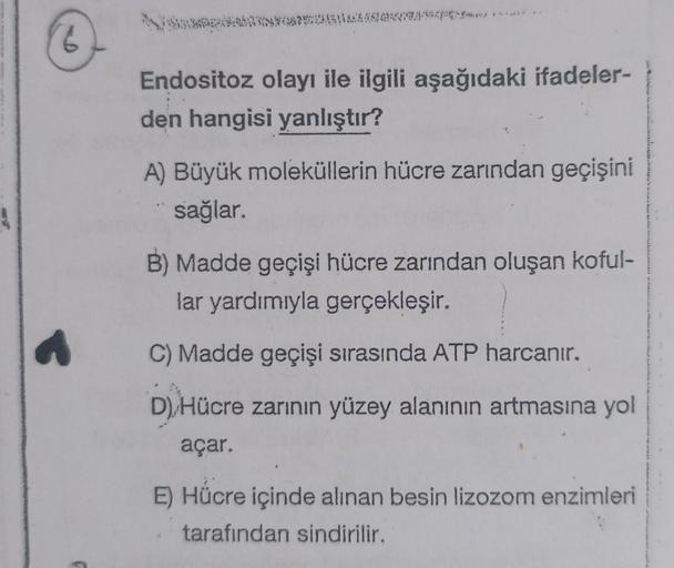 Endositoz olayı ile ilgili aşağıdaki ifadeler-
den hangisi yanlıştır?
A) Büyük moleküllerin hücre zarından geçişini
sağlar.
B) Madde geçişi hücre zarından oluşan koful-
lar yardımıyla gerçekleşir.
C) Madde geçişi sırasında ATP harcanır.
D) Hücre zarının yü