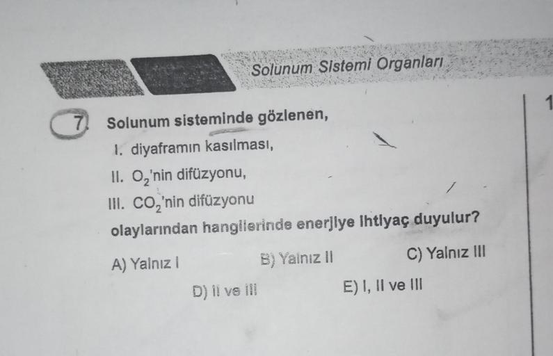 7
Solunum Sistemi Organları
Solunum sisteminde gözlenen,
1. diyaframın kasılması,
II. O₂'nin difüzyonu,
III. CO₂'nin difüzyonu
olaylarından hangilerinde enerjlye ihtiyaç duyulur?
A) Yalnız I
B) Yalnız II
D) il ve ill
C) Yalnız III
E) I, II ve III