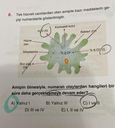 8. Tek hücreli canlılardan olan amipte bazı maddelerin ge-
çişi numaralarla gösterilmiştir.
Hücre
zari
Sitoplazma
Sıvı yağ
H₂O (II)
A) Yalnız I
Kontraktil koful
D) III ve IV
% 2 CI
Bakteri (IV)
Amipin ölmesiyle, numaralı olaylardan hangileri bir
süre daha 