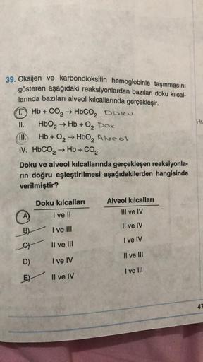 39. Oksijen ve karbondioksitin hemoglobinle taşınmasını
gösteren aşağıdaki reaksiyonlardan bazıları doku kılcal-
larında bazıları alveol kılcallarında gerçekleşir.
T. ) Hb + CO, → HbCO, Doku
II.
HbO₂- → Hb + 0₂ Dor
Hb + O₂ → HbO₂ Alveol
HIP.
IV. HbCO, → Hb