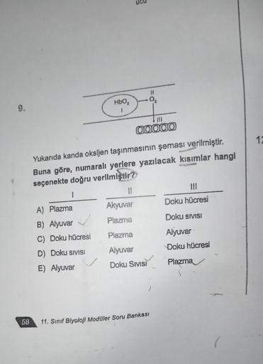 9.
58
HbO₂
1
A) Plazma
B) Alyuvar
C) Doku hücresi
D) Doku SIVISI
E) Alyuvar
037
|||
00000
Yukarıda kanda oksijen taşınmasının şeması verilmiştir.
Buna göre, numaralı yerlere yazılacak kısımlar hangi
seçenekte doğru verilmiştir?
1
Akyuvar
Plazma
Plazma
Alyu