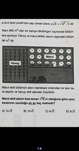 -a ve b birer pozitif tam sayı olmak üzere; a√b = √a².b dir.
Alanı 360 m² olan bir bahçe dikdörtgen biçiminde bölüm-
lere ayrılıyor. Havuç ve marul ekilen alanın dışındaki bölüm
96 m² dir.
Havuç
Marul
96 m²
Marul ekili bölümün alanı metrekare cinsinden bir tam ka-
re sayıdır ve havuç ekili alandan büyüktür.
Marul ekili alanın kısa kenarı √72 m olduğuna göre uzun
kenarının uzunluğu en az kaç metredir?
A) 12√2
B) 10√2
C) 8√2
D) 6√2