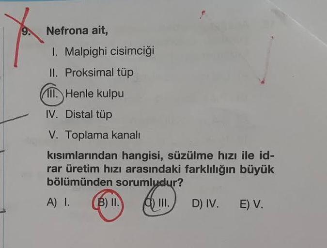 Nefrona ait,
1. Malpighi cisimciği
II. Proksimal tüp
III. Henle kulpu
IV. Distal tüp
V. Toplama kanalı
kısımlarından hangisi, süzülme hızı ile id-
rar üretim hızı arasındaki farklılığın büyük
bölümünden sorumludur?
A) I.
B) II. a) III.
D) IV. E) V.