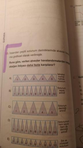 SUPARA
10. insandan çeşitli solunum derinliklerinde alveoler har
ma grafiksel olarak verilmiştir.
Buna göre, verilen alveoler havalandırmalardan hang
oksijen ihtiyacı daha fazla karşılanır?
A)
B)
C)
E)
1
2
1
1 2 3 4 5 6 7
2
1 2 3 4
3
1 2 3 4
3
5 6
6
4
7
8