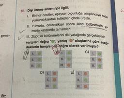 IV
şema-
de-
10. Dişi üreme sistemiyle ilgili,
1. Birincil oositler, eşeysel olgunluğa ulaşılıncaya kadar
yumurtalıklardaki foliküller içinde üretilir.
L
II. Yumurta, döllendikten sonra ikinci bölünmesini yu-
murta kanalında tamamlar.
III. Zigot, ilk bölünmelerini döl yatağında gerçekleştirir.
oluşlarına göre aşağı-
yargıları doğru "O", yanlış
dakilerin hangisinde doğru olarak verilmiştir?
B) I.
C)
plb obrise II.
III.
III.
D)
1.
II.
III.
66
spine
E) I.
II.
III.
III.
H23 10
nig imelleg ovnema la
2.