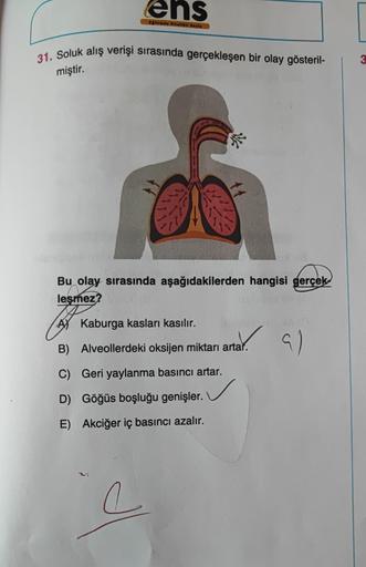 ens
Eğitimde Nitelikli Sayfa
31. Soluk alış verişi sırasında gerçekleşen bir olay gösteril-
miştir.
*
248
11
Bu olay sırasında aşağıdakilerden hangisi gerçek
lesmez?
AY Kaburga kasları kasılır.
B) Alveollerdeki oksijen miktarı artar.
C) Geri yaylanma basın