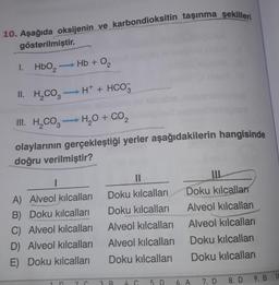 10. Aşağıda oksijenin ve karbondioksitin taşınma şekilleri
gösterilmiştir.
-
1. HbO₂ 2
II. H₂CO3 →H+ + HCO3
III. H₂CO3 H₂O + CO₂
olaylarının gerçekleştiği yerler aşağıdakilerin hangisinde
doğru verilmiştir?
Hb + O₂
-
1
A) Alveol kılcalları
B) Doku kılcalları
C) Alveol kılcalları
D) Alveol kılcalları
E) Doku kılcalları
2
3
11
Doku kılcalları
Doku kılcalları
Alveol kılcalları
Alveol kılcalları
Doku kılcalları
B 4 C 5. D
III
Doku kılcallar
Alveol kılcalları
Alveol kılcalları
Doku kılcalları
Doku kılcalları
6. A
7. D
8. D
9. B 10