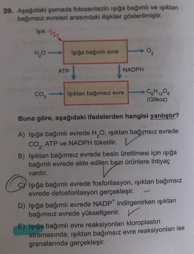 39. Aşağıdaki şemada fotosentezin ışığa bağımlı ve ışıktan
bağımsız evreleri arasındaki ilişkiler gösterilmiştir.
Işık m
H₂O->
ATP
Işığa bağımlı evre
NADPH
CO₂ - Işıktan bağımsız evre
0₂
C6H₁2O6
(Glikoz)
Buna göre, aşağıdaki ifadelerden hangisi yanlıştır?
