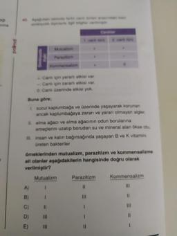 Hig
anma
Kommensalizm
Canli için yararlı etkisi var.
-Canli için zararlı etkisi var.
0 Canlı üzerinde etkisi yok.
Buna göre;
1. sucul kaplumbağa ve üzerinde yaşayarak korunan
ancak kaplumbağaya zararı ve yararı olmayan algler,
.
II. elma ağacı ve elma ağacının odun borularına
emeçlerini uzatıp borudan su ve mineral alan ökse otu,
A)
B)
C)
D)
III. insan ve kalın bağırsağında yaşayan B ve K vitamini
üreten bakteriler
örneklerinden mutualizm, parazitizm ve kommensalizme
ait olanlar aşağıdakilerin hangisinde doğru olarak
verilmiştir?
Mutualizm
1
1
||
|||
|||
Parazitizm
||
|||
1
11
Kommensalizm
11
|||
11
1