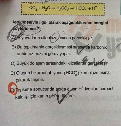 CO₂ + H₂O → H₂CO3 → HCO3 +
+H*
tepkimesiyle ilgili olarak aşağıdakilerden hangisi
söylenemez?
A Alyuvarların sitoplazmasında gerçekleşir.
B) Bu tepkimenin gerçekleşmesi sırasında karbonik
anhidraz enzimi görev yapar.
ye
C) Büyük dolaşım sırasındaki kılcall