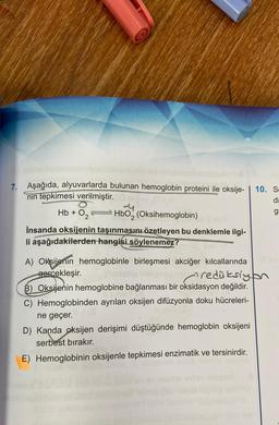 7. Aşağıda, alyuvarlarda bulunan hemoglobin proteini ile oksije- | 10. S.
nin tepkimesi verilmiştir.
da
g
Hb+0₂= HbO₂ (Oksihemoglobin)
2
İnsanda oksijenin taşınmasını özetleyen bu denklemle ilgi-
li aşağıdakilerden hangisi söylenemez?
A) Oksijenin hemoglobinle birleşmesi akciğer kılcallarında
gerçekleşir.
Mongdredüksiyon
B) Oksijenin hemoglobine bağlanması bir oksidasyon değildir.
C) Hemoglobinden ayrılan oksijen difüzyonla doku hücreleri-
ne geçer.
D) Kanda oksijen derişimi düştüğünde hemoglobin oksijeni
serbest bırakır.
E) Hemoglobinin oksijenle tepkimesi enzimatik ve tersinirdir.