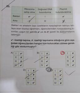 20.
Ribozoma
sahip olma
A) I
||
X
III
X
IV ✓
Bakteri
✓
Arke
1X
Bakteri ve arkelerin bazı özelliklerini karşılaştıran tabloyu tah-
taya asan biyoloji öğretmeni, öğrencilerinden numaralanmış kı-
sımları uygun bir şekilde ya da x işareti ile doldurmalarını
istemiştir.
✔: özelliği taşıma, X: özelliği taşımama olduğuna göre aşa-
ğıdaki öğrencilerden hangisi tüm kutucukları olması gerek-
tiği gibi doldurmuştur?
D) I
||
=
III
IV
Doğrusal DNA
bulundurma
I
XX
X
U X
=
X
IV
Plazmit
bulundurabilme
S
||
IV
X
1 X
||
III
IV
X