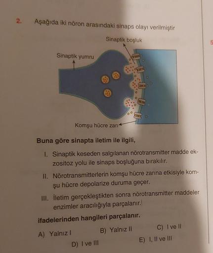 2.
Aşağıda iki nöron arasındaki sinaps olayı verilmiştir
Sinaptik yumru
Sinaptik boşluk
Komşu hücre zarı
Buna göre sinapta iletim ile ilgili,
1. Sinaptik keseden salgılanan nörotransmitter madde ek-
zositoz yolu ile sinaps boşluğuna bırakılır.
Ce
II. Nörot