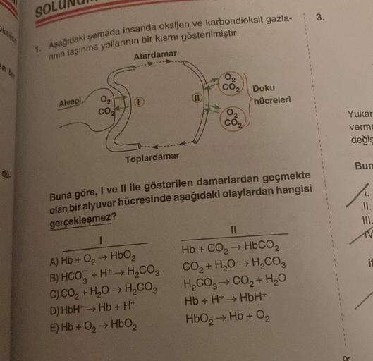 ksijes
SOLU
1. Aşağıdaki şemada insanda oksijen ve karbondioksit gazla-
rının taşınma yollarının bir kısmı gösterilmiştir.
Alveol
Atardamar
Toplardamar
CO₂
1
A) Hb + O₂ → HbO₂
B) HCO3 + H+→ H₂CO3
C) CO₂ + H₂O → H₂CO3
D) HbH*→ Hb+ H+
E) Hb+0₂ → HbO₂
CO₂
Dok