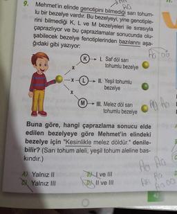 9. Mehmet'in elinde genotipini bilmediği sarı tohum-
AG
lu bir bezelye vardır. Bu bezelyeyi, yine genotiple-
rini bilmediği K, L ve M bezelyeleri ile sırasıyla
çaprazlıyor ve bu çaprazlamalar sonucunda olu-
şabilecek bezelye fenotiplerinden bazılarını aşa-
ğıdaki gibi yazıyor:
X
A) Yalnız II
Yalnız III
(K)
-X-(L)
M
I. Saf döl sarı
tohumlu bezelye
II. Yeşil tohumlu
bezelye
III. Melez döl sarı
tohumlu bezelye
Buna göre, hangi çaprazlama sonucu elde
edilen bezelyeye göre Mehmet'in elindeki
bezelye için "Kesinlikle melez döldür." denile-
bilir? (Sarı tohum aleli, yeşil tohum aleline bas-
kındır.)
ve III
II ve III
AO AO
aa
Ao Aq
AA
Ao D
Ao 00
43