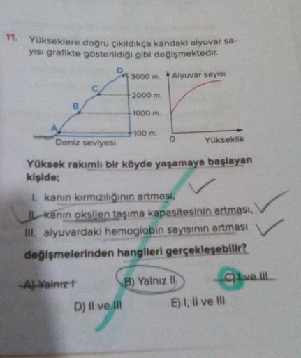 11.
Yükseklere doğru çıkıldıkça kandaki alyuvar sa-
yısı grafikte gösterildiği gibi değişmektedir.
3000 m. Alyuvar sayısı
B
C
D
-A) Yalnız t
2000 m.
1000 m.
D) II ve III
100 m.
0
Deniz seviyes!
Yüksek rakımlı bir köyde yaşamaya başlayan
kişide;
I. kanın kı