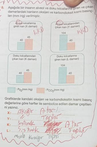 çıkan
-8. Aşağıda bir insanın alveol ve doku kılcallarına giren ve
damarlardaki kanların oksijen ve karbondioksit kısmi basınç-
ları (mm Hg) verilmiştir.
Alveol kılcallarına
giren kan (X damari)
40
45
40
Doku kılcallarından
çıkan kan (K damarı)
kk. D
45
: