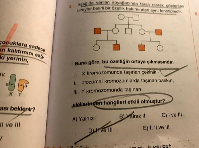 cocuklara sadece
in kalıtımını sağ-
ki yerinin,
IV.
"He
XY
ası beklenir?
Il ve III
3. Aşağıda verilen soyağacında taralı olarak gösterilen
bireyler belirli bir özellik bakımından aynı fenotiptedir.
Buna göre, bu özelliğin ortaya çıkmasında;
1. X kromozomun