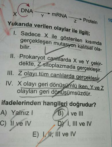 DNA
X
Yukarıda verilen olaylar ile ilgili;
1. Sadece X ile gösterilen kısımda
gerçekleşen mutasyon kalıtsal ola-
bilir.
Y
mRNA
Z
→→Protein
II. Prokaryot cantılarda X ve Y çekir-
dekte, Z sitoplazmada gerçekleşir.
III. Z olayı tüm canlılarda gerçekleşir
IV.