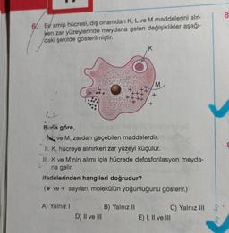 6. Bir amip hücresi, dış ortamdan K, L ve M maddelerini alır-
Ken zar yüzeylerinde meydana gelen değişiklikler aşağı-
daki şekilde gösterilmiştir.
Buna göre,
K
A) Yalnız I
ve M, zardan geçebilen maddelerdir.
D) II ve III
M
+
+
II. K, hücreye alınırken zar yüzeyi küçülür.
III. K ve M'nin alımı için hücrede defosforilasyon meyda-
na gelir.
B) Yalnız II
ifadelerinden hangileri doğrudur?
( ve + sayıları, molekülün yoğunluğunu gösterir.)
C) Yalnız III
E) I, II ve III
Lig
8