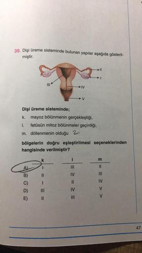 39. Dişi üreme sisteminde bulunan yapılar aşağıda gösteril-
miştir.
Dişi üreme sisteminde;
k. mayoz bölünmenin gerçekleştiği,
I. fetüsün mitoz bölünmeler geçirdiği,
m. döllenmenin olduğu 2
bölgelerin doğru eşleştirilmesi seçeneklerinden
hangisinde verilmiş