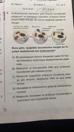 le
3-
3-
ri
S-
n
re
||
karekök
A) Yalnız I
73
B) Yalnız II
D) II ve III
E), Il ve li
4. Endosimbiyosis hipotezine göre ökaryot hücrelerdeki
mitokondri ve kloroplast organelleri prokaryot hücre-
lerden köken almıştır. Bu durum aşağıdaki şekilde ve-
rilmiştir.
O₂li solunum yapan Mitokondri
heterotrof prokaryot
C) I ve II
Mitokondri
Fotosentetik
prokaryot
Kloroplast
Ökaryot Hücre
Buna göre, aşağıdaki durumlardan hangisi bu hi-
potezi desteklemek için kullanılamaz?
A) Bir paramesyum türünün fotosentez yapan bir hüc-
reli Chlorella'yı sindirmeyip sitoplazmasında yaşat-
masi
B) Mitokondri ve kloroplasttaki DNA ların prokaryot
hücrelerdeki gibi halkasal olması
C) Mitokondri organelinin prokaryot hücrelerde oldu-
ğu gibi ribozom, sitoplazma, DNA ve zara sahip
olması
D) Kloroplast ve mitokondrinin gelişmiş canlılarda bu-
lunması
E) Mitokondri, kloroplast ve prokaryot hücrelerdeki ri-
bozomların aynı büyüklükte olması