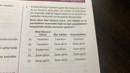 arı şöyledir:
anlarınkinden
n gelişmişliği
de kesinlikle
3. Endosimbiyozis hipotezine göre ilkel ökaryot bir hücre
ile bu hücrenin içine giren mor bakteri ve siyanobak-
teri arasında ortak bir yaşam başlamış ve zamanla bu
bakteriler mitokondri ve kloroplasta dönüşmüştür.
Organelleri
Buna göre ilkel ökaryot hücre, mor bakteri ve si-
yanobakteri arasındaki ilişki ile ilgili aşağıdakilerin
hangisinde verilen durumlar gözlenir?
İlkel ökaryot
hücre
Yararlanır
Yararlanır
Kommu
Etkilenmez
Mor bakteri Siyanobakteri
Yararlanır
Yararlanır
A)
B)
Zarar görür
C)
Yararlanır
solhan rosatzög desiqotoblov mos
D)
E) Zarar görür
Zarar görür
Zarar görür
In sbolds) ug
Zarar görür
Yararlanır
Zarar görür
Zarar görür
Zarar görür sodis