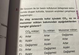 hücrel
C) I vel
2. Bir lizozom ile bir besin kofulunun birleşmesi sonu-
cunda oluşan kofulda, lizozom enzimleri çalışmaya
başlamıştır.
Bu olay sırasında koful içindeki CO₂, su ve
monomer miktarı bakımından aşağıdakilerden
hangisi gözlenir?
CO₂ miktarı
A) Artar
B) Azalır
C) Değişmez
D) Artar
F)
Azalır
Su miktarı
Artar
Artar
Azalır
Değişmez
Değişmez
karekök
Monomer miktarı
Değişmez
Artar
Artar
Azalır
Değişmez