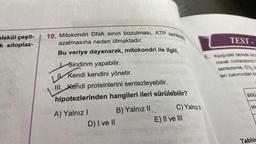 plekül çeşit-
k-sitoplaz-
10. Mitokondri DNA sının bozulması, ATP sentezi
azalmasına neden olmaktadır.
Bu veriye dayanarak, mitokondri ile ilgili,
Sindirim yapabilir.
Kendi kendini yönetir.
III. Kendi proteinlerini sentezleyebilir.
hipotezlerinden hangileri ileri sürülebilir?
B) Yalnız II
A) Yalnız I
D) I ve II
C) Yalnız
E) II ve III
TEST-
1. Aşağıdaki tabloda strom
olarak numaralandin
sentezleme, CO₂ ün
leri bakımından ka
Bölü
Ma
Tablo